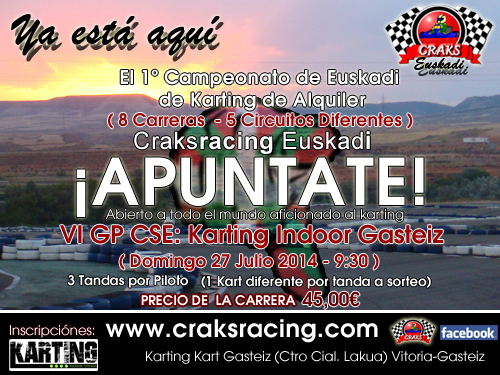 VI GP CSE 2014: Karting Indoor Gasteiz INVERSO 27/07/2014